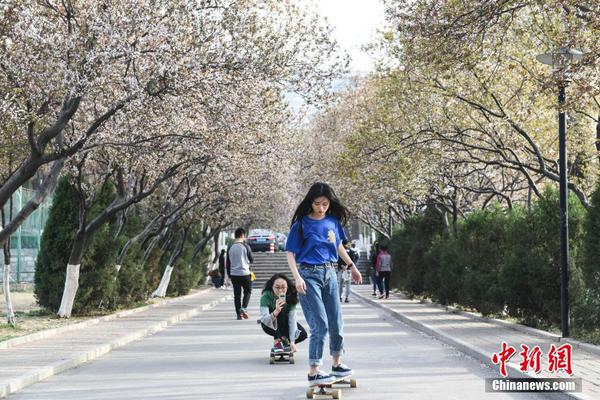 习近平:加快推进农业农村现代化,全面推进乡村振兴